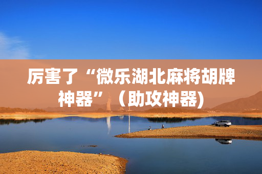 厉害了“微乐湖北麻将胡牌神器”（助攻神器)