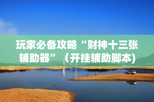 玩家必备攻略“财神十三张辅助器”（开挂辅助脚本)