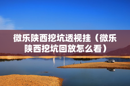 微乐陕西挖坑透视挂（微乐陕西挖坑回放怎么看）