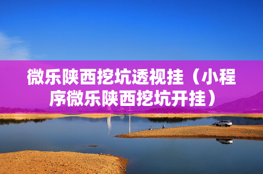 微乐陕西挖坑透视挂（小程序微乐陕西挖坑开挂）