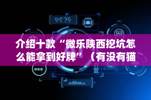 介绍十款“微乐陕西挖坑怎么能拿到好牌”（有没有猫腻)