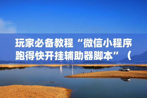 玩家必备教程“微信小程序跑得快开挂辅助器脚本”（辅助器插件)