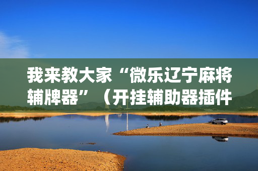 我来教大家“微乐辽宁麻将辅牌器”（开挂辅助器插件)