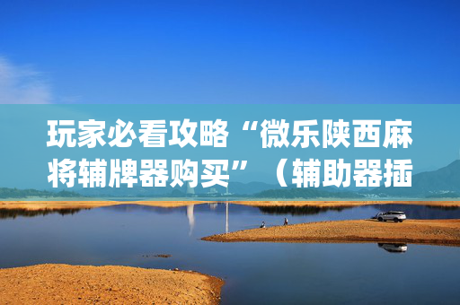 玩家必看攻略“微乐陕西麻将辅牌器购买”（辅助器插件)
