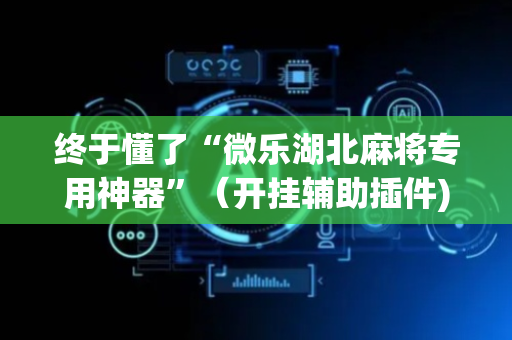 终于懂了“微乐湖北麻将专用神器”（开挂辅助插件)