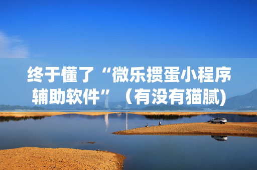 终于懂了“微乐掼蛋小程序辅助软件”（有没有猫腻)