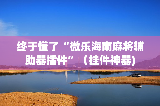 终于懂了“微乐海南麻将辅助器插件”（挂件神器)