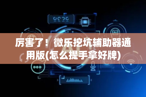 厉害了！微乐挖坑辅助器通用版(怎么提手拿好牌)