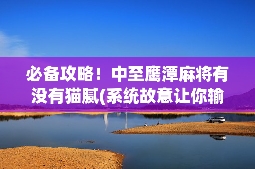 必备攻略！中至鹰潭麻将有没有猫腻(系统故意让你输)