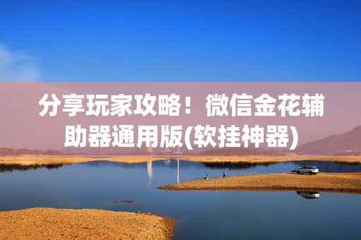 分享玩家攻略！微信金花辅助器通用版(软挂神器)