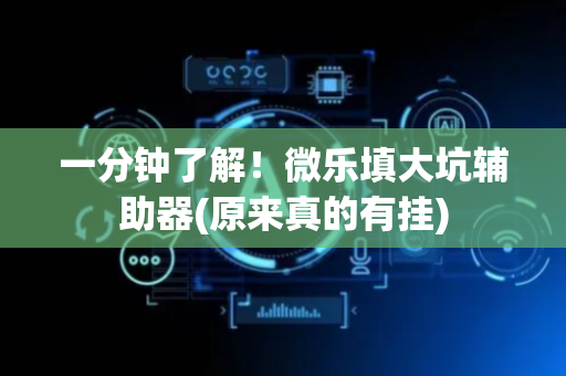 一分钟了解！微乐填大坑辅助器(原来真的有挂)