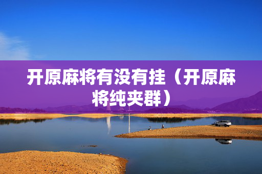 开原麻将有没有挂（开原麻将纯夹群）
