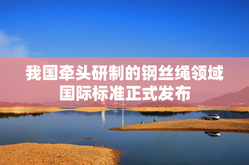 我国牵头研制的钢丝绳领域国际标准正式发布
