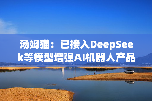 汤姆猫：已接入DeepSeek等模型增强AI机器人产品的意图识别等功能