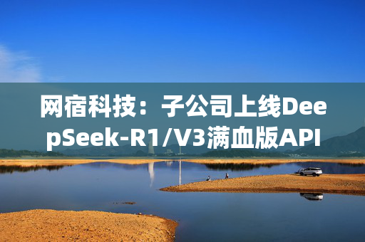 网宿科技：子公司上线DeepSeek-R1/V3满血版API接口