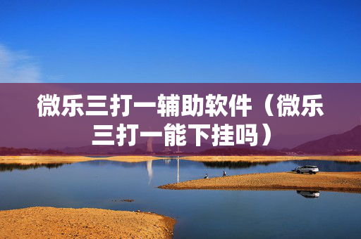 微乐三打一辅助软件（微乐三打一能下挂吗）