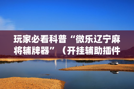 玩家必看科普“微乐辽宁麻将辅牌器”（开挂辅助插件)