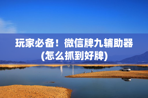 玩家必备！微信牌九辅助器(怎么抓到好牌)