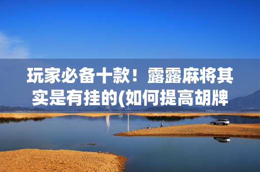 玩家必备十款！露露麻将其实是有挂的(如何提高胡牌率)