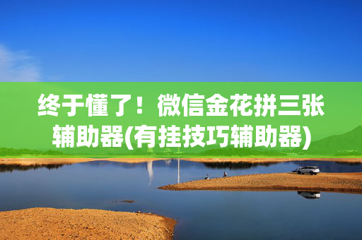 终于懂了！微信金花拼三张辅助器(有挂技巧辅助器)