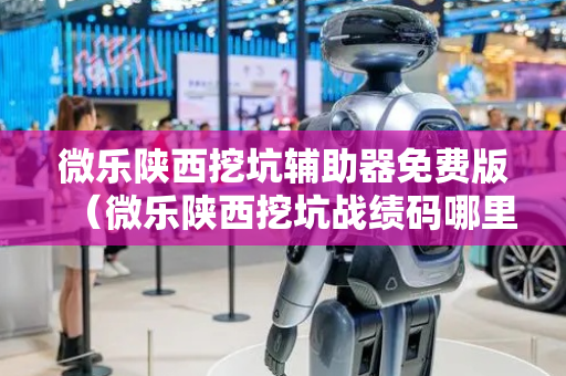 微乐陕西挖坑辅助器免费版（微乐陕西挖坑战绩码哪里找）