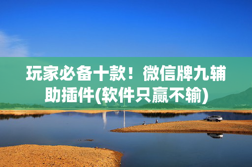 玩家必备十款！微信牌九辅助插件(软件只赢不输)